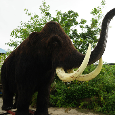 Mammut lanoso realistico a grandezza naturale impermeabile per parco divertimenti