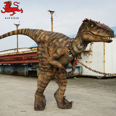 Animatronic Velociraptor Costume, Kostum Dinosaurus Dewasa Buatan