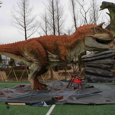 Tema Parkı Ekipmanları Gerçekçi Animatronik Dinozor Modeli Carnotaurus Heykeli