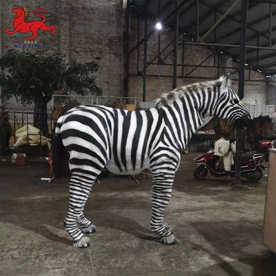 Controllo manuale Zebra animatronica realistica disponibile su misura
