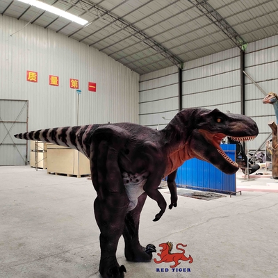Traje de T Rex da vida real personalizado, traje de tiranossauro interno