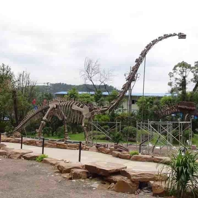 Большой на открытом воздухе скелет динозавра, Сунпрооф скелет модели динозавра