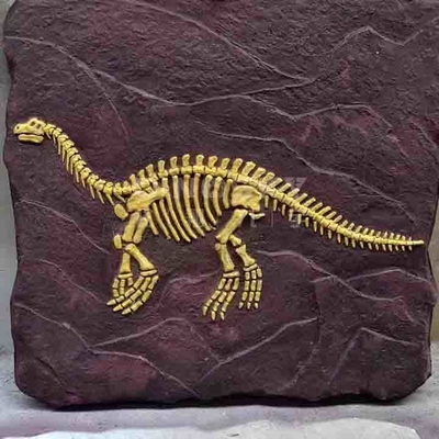 Bản sao bộ xương khủng long ngoài trời Mô hình kích thước cuộc sống RoHS đã được phê duyệt