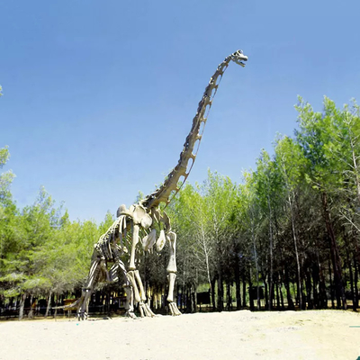 Replica realistica dello scheletro di dinosauro / Jurassic World Replica per interni