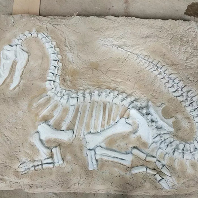 Lebensgroße Dinosaurier-Replik, Dinosaurier-Replik-Fossil für geschäftliche Aktivitäten