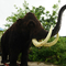 Πλήρους μεγέθους Realistic Woolly Mammoth Αδιάβροχο για Λούνα Παρκ