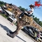 Taille adulte de costume de dinosaure T Rex adaptée aux besoins du client pour le parc à thème