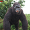 Costume da Gorilla Animatronic Costume da Gorilla realistico Età adulta
