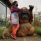 Disfraz de gorila adulto Traje de gorila realista para parque temático