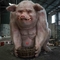 Âge adulte réaliste animatronique adapté aux besoins du client de porcs pour des centres commerciaux