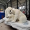 Realistic Animatronic Φυσικό Μέγεθος Polar Bear Προσαρμοσμένο Προσαρμοσμένο Διαθέσιμο 12 μήνες Εγγύηση
