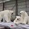 Реалистический аниматроник в натуральную величину подгонянный полярный медведь доступный 12 месяца гарантии