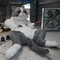 Hewan Animatronik Realistis Ukuran Hidup Ukuran 200W Kucing Berbicara Interaktif Kustom