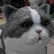 Naturalnej wielkości realistyczny animatroniczny kot, interaktywny mówiący piękny kot