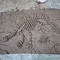 ハンドメイドの博物館の恐竜のレプリカ、恐竜の頭骨のレプリカの若者の年齢