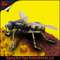 Big Bugs Animatronic Insects Models Fly سن کودکان سنسور مادون قرمز کنترل