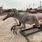 Hareket ve Ses Özelleştirme ile Tema Parkı Gerçekçi Animatronic Dinozor Raptor