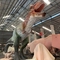 Hareket / Ses Özelleştirmeli Tema Parkı Gerçekçi Animatronik Dinozor T Rex