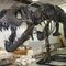 Indoor-Dinosaurier-Skelett-Replik Jugendalter 12 Monate Garantie
