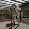 Réplica de esqueleto de dinossauro de shopping center Tamanho personalizável Crânio de dinossauro fóssil