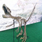 Εμπορικό κέντρο Dinosaur Skeleton Replica Size Προσαρμόσιμο απολίθωμα κρανίου δεινοσαύρων
