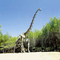 Réplique réaliste de squelette de dinosaure/réplique du monde jurassique pour l'intérieur