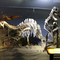 यथार्थवादी डायनासोर कंकाल प्रतिकृति / जुरासिक विश्व प्रतिकृति इंडोर के लिए