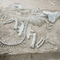 Repliche dell'osso di dinosauro del centro commerciale, crani fossili della replica del dinosauro