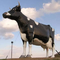 Ρεαλιστική ζωική αδιάβροχη ζωή αγαλμάτων - γλυπτό αγελάδων μεγέθους που προσαρμόζεται διαθέσιμο