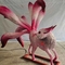 Fox atado Handcrafted electrónico del animal nueve chinos realistas de la mitología de las criaturas