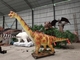 Açık Brachiosaurus Dinozor Animasyonlu Animatronik Tam Boy Model