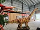 Il dinosauro all'aperto del Brachiosaurus ha animato il modello a grandezza naturale Animatronic